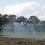 HOT Tattu12S 22000mahav AS150U  XT60 XT90 Plug Lipo Battery Agriculture Spray Farm Crop Plant protection Mapping Surveying UAV